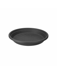 Maceta Original Antracita 14cm  Elegante y Versátil para Plantas Pequeñas | Endanea Garden