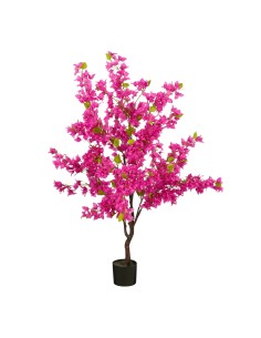 BOUGAINVILLEA FUCSIA EN MACETA 150X60CM
