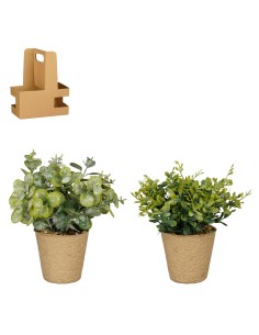 HIERBAS VERDES EN MACETA H15XD8.5CM